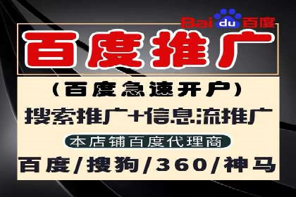 行业案例研究：SEM竞价托管的策略与挑战